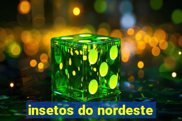 insetos do nordeste